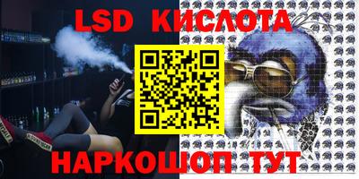 индика Партизанск