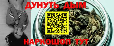 индика Партизанск