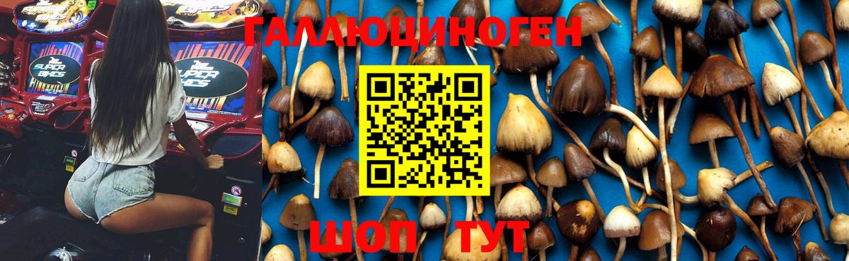 Галлюциногенные грибы Magic Shrooms  Вход с VPN  Галлюциногенные грибы Psilocybine cubensis  Полевской 